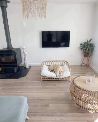 Floor Bleaching 