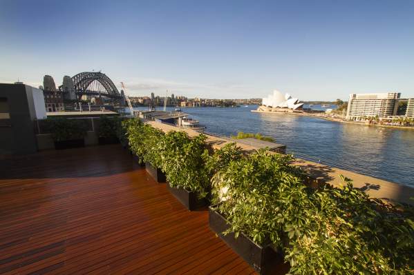 Outdoor Deck Finishing MCA